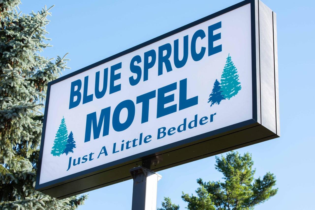 מאסנה Blue Spruce Motel מראה חיצוני תמונה